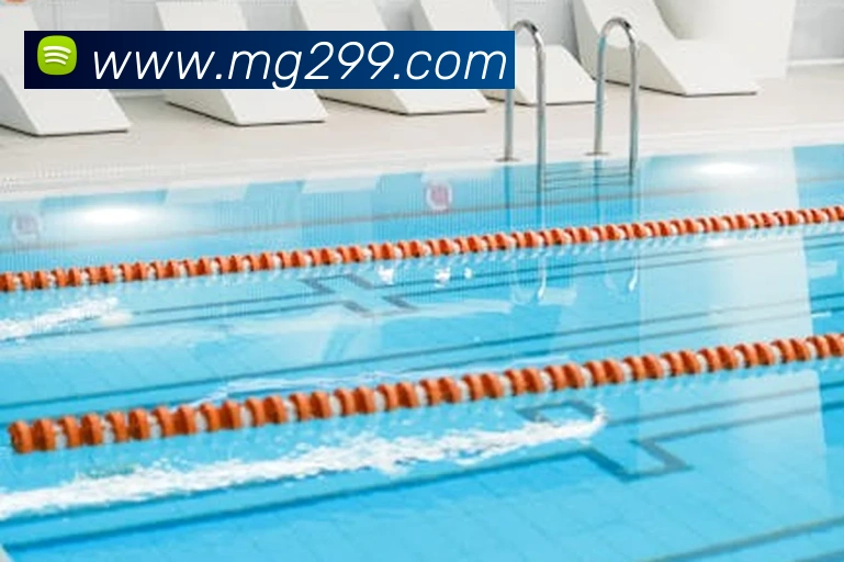 App Interface Preview