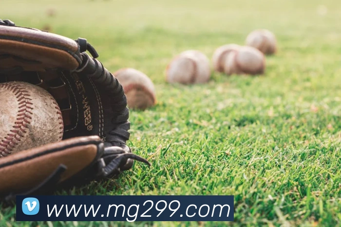 MG娱乐平台官网APP 封面图