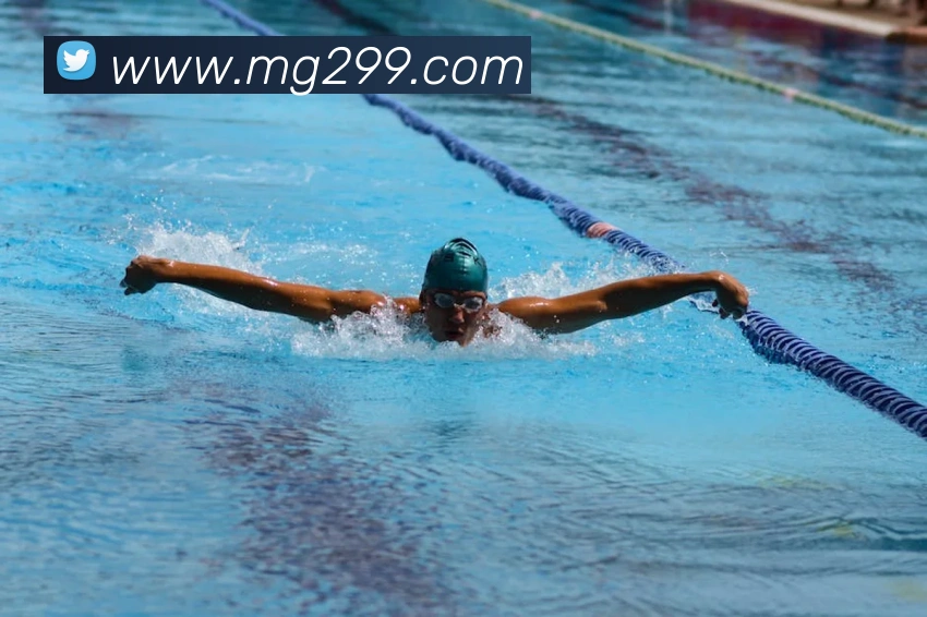 数据防护可视化